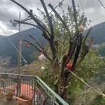 μαριγουλαμ Kalesmenon
