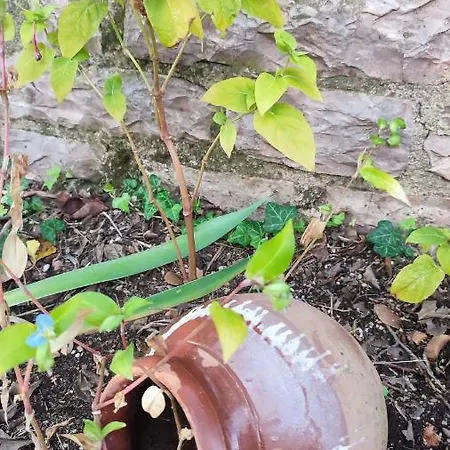 Casa de Férias μαριγουλαμ *