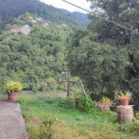 μαριγουλαμ