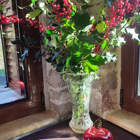 μαριγουλαμ Kalesmenon