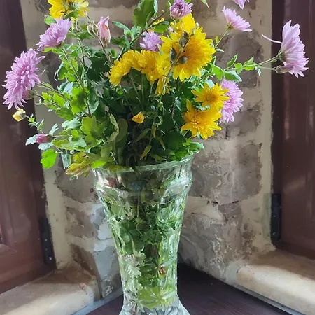 μαριγουλαμ