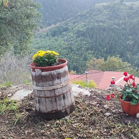 Ferienhaus μαριγουλαμ