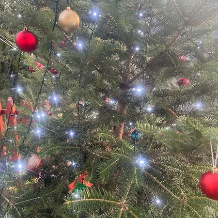 Casa de Férias μαριγουλαμ Kalesmenon