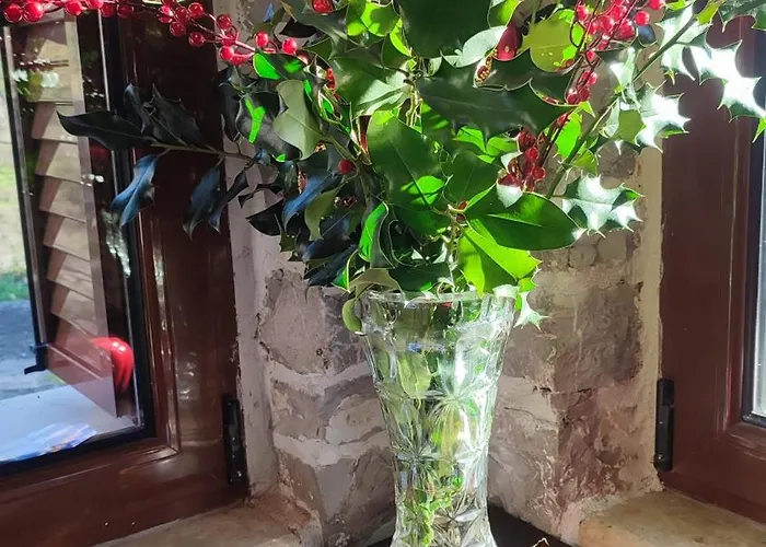 μαριγουλαμ Kalesmenon